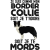 Border collie