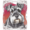 Schnauzer, Schnauzer-Dad, Schnauzer-Mom, Terrier