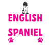 English Springer Spaniel Dog