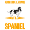 English Springer Spaniel Dog