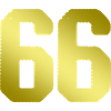 66 number jersey