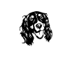 English Springer Spaniel Dog