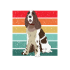 English Springer Spaniel Dog