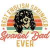 English Springer Spaniel Dog