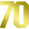 70 Number jersey