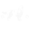 English Springer Spaniel Dog