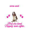 English Springer Spaniel Dog