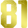 81 Number jersey