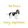 English Springer Spaniel Dog