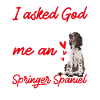 English Springer Spaniel Dog