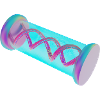 Roller coaster in my DNA
