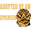 English Springer Spaniel Dog