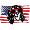 English Springer Spaniel Dog