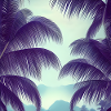 Palm leaves art