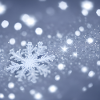 Schneeflocken-Design