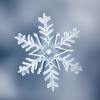 Winter snowflake portrait
