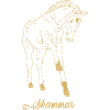 Trakehner Shammar