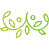 Pflanzendesign