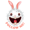 Follow Me! | Follow the White Rabbit