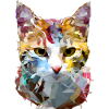 Abstract Polygon Geometric Cat