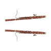 Bassoon Faggotist Musician Reed