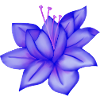 Blumen