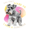 Schnauzer, Schnauzer-Terrier, funny saying