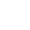 Irreplaceable Employee