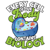 The body contains
