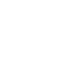 Programmer Computer Scientist