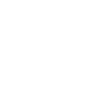 Programmer Computer Scientist