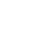 Programmer Computer Scientist