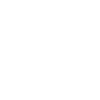 Programmer Computer Scientist