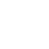 Programmer Computer Scientist