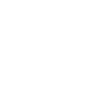 Programmer Computer Scientist