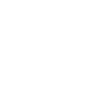 Programmer Computer Scientist
