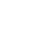 Programmer Computer Scientist