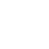 Programmer Computer Scientist