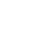 Programmer Computer Scientist