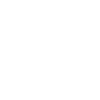 Programmer Computer Scientist