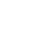 Programmer Computer Scientist