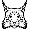 Lynx black