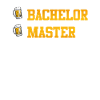 Baccalauréat complété Master