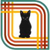 cat, retro, rainbow, black