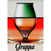 Grappa for connoisseurs
