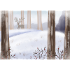 L’hiver en forêt