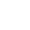 Eagle in the rain