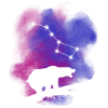 Ursa Major constellation
