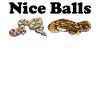 Funny Ball Python Snake