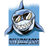 Sharkasm Wordplay Seawater Sunglasses